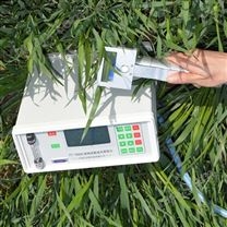 植物蒸腾速率测定仪（植物气孔计）