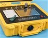 便携式VOC检测仪（泵吸式）