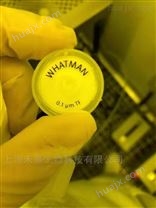 沃特曼Puradisc 25TF聚四氟乙烯针式过滤器