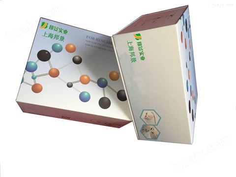 人睾酮elisa检测试剂盒规格