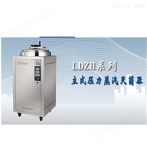 高温蒸汽消毒锅LDZH-100L压力蒸汽灭菌器
