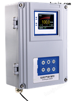 氢气浓度分析仪、氢气纯度检测仪TA300-H2
