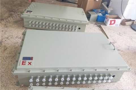 厂家供应BXJ51-10/8防爆接线端子箱