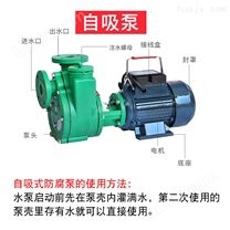 电动抽水机自吸泵增压泵自动水泵