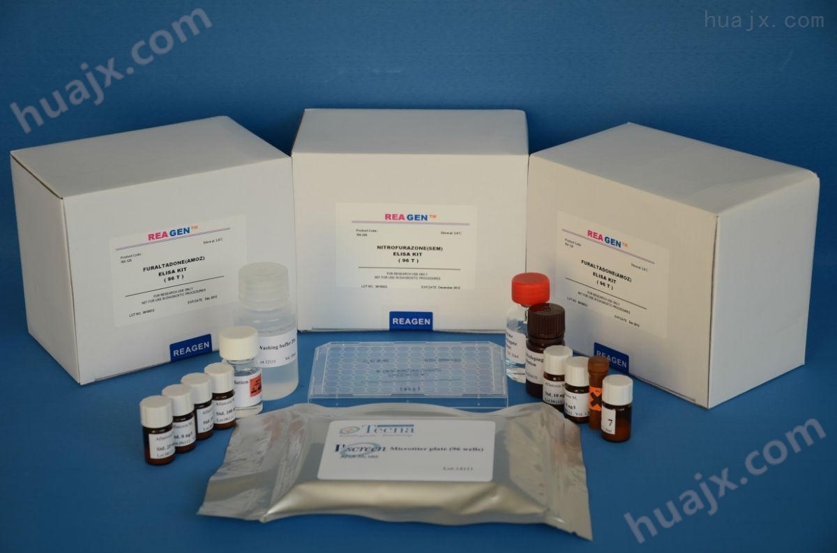 人胰腺癌标志物CA242ELISA试剂盒