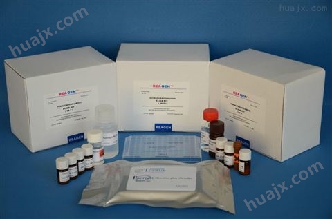 人胰腺癌标志物CA242ELISA试剂盒