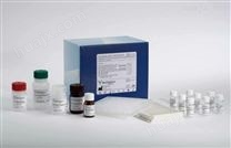 人胎儿血红蛋白（HBF）ELISA试剂盒