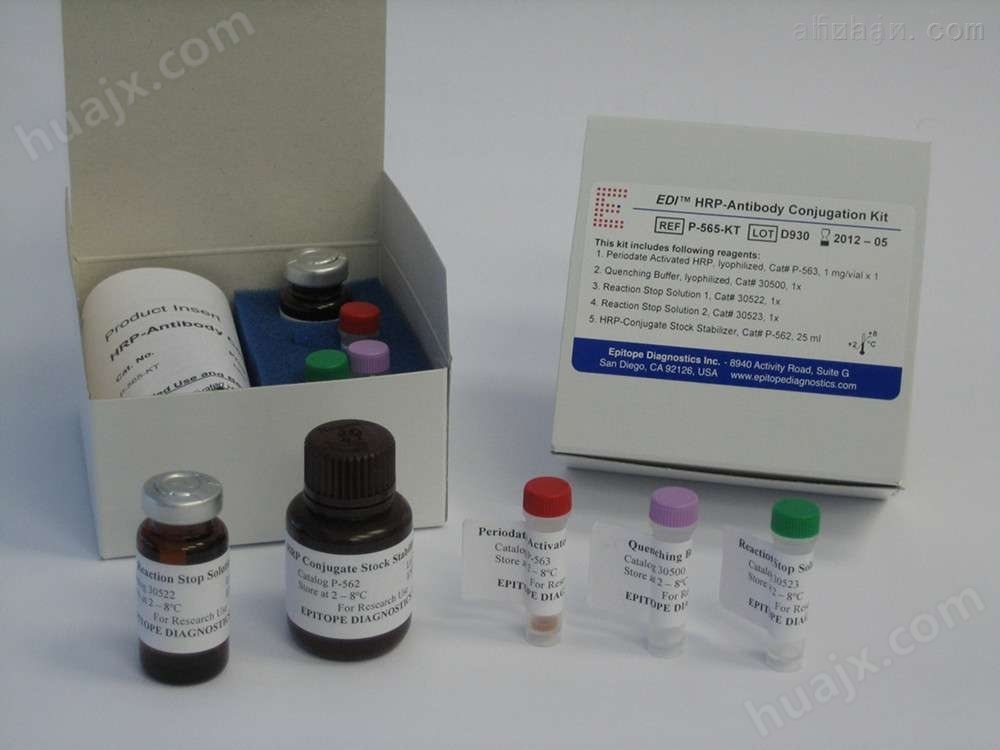 人抗平滑肌抗体（ASMA）ELISA试剂盒