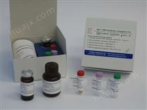 大鼠糖化血红蛋白A1c（GHbA1c）ELISA试剂盒