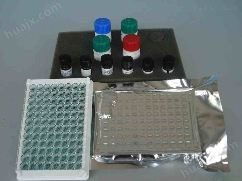 人乙型肝炎病毒X抗原（HBxAg）ELISA试剂盒