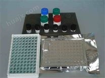 人白细胞分化抗原4（CD4）ELISA试剂盒