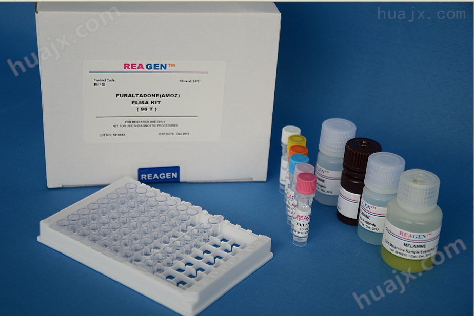 人N-乙酰-β-D-氨基葡萄糖苷酶ELISA试剂盒