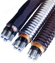 铝合金导体交联聚乙烯护套电力电缆