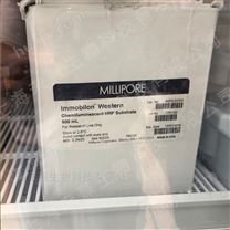 Millipore密理博HRP化学发光试剂盒